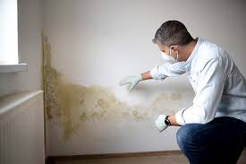 Mold Remediation for Rental Properties in Kekoskee, WI